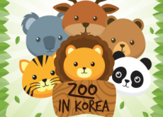 Zoo - Let's Go