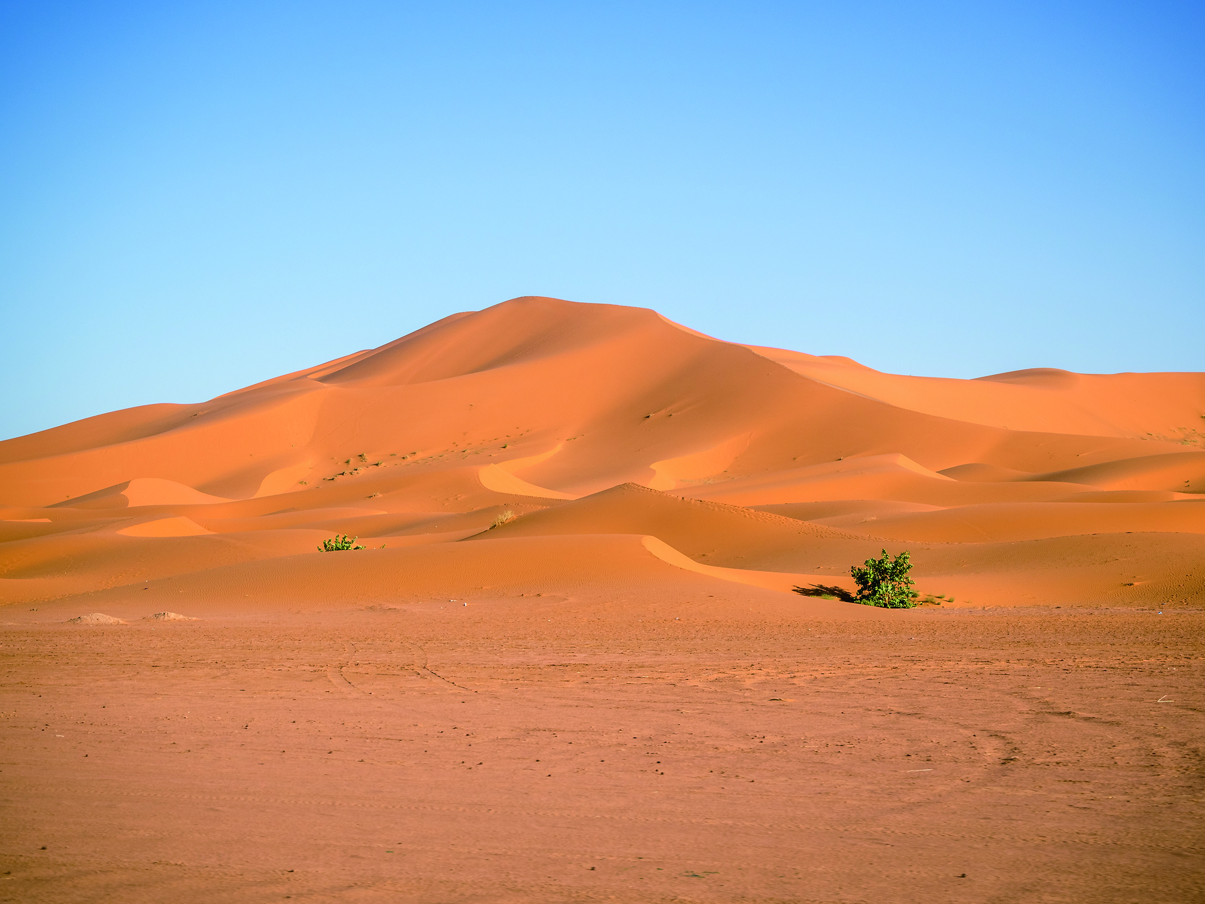 A Lost City in the Desert - Bonus