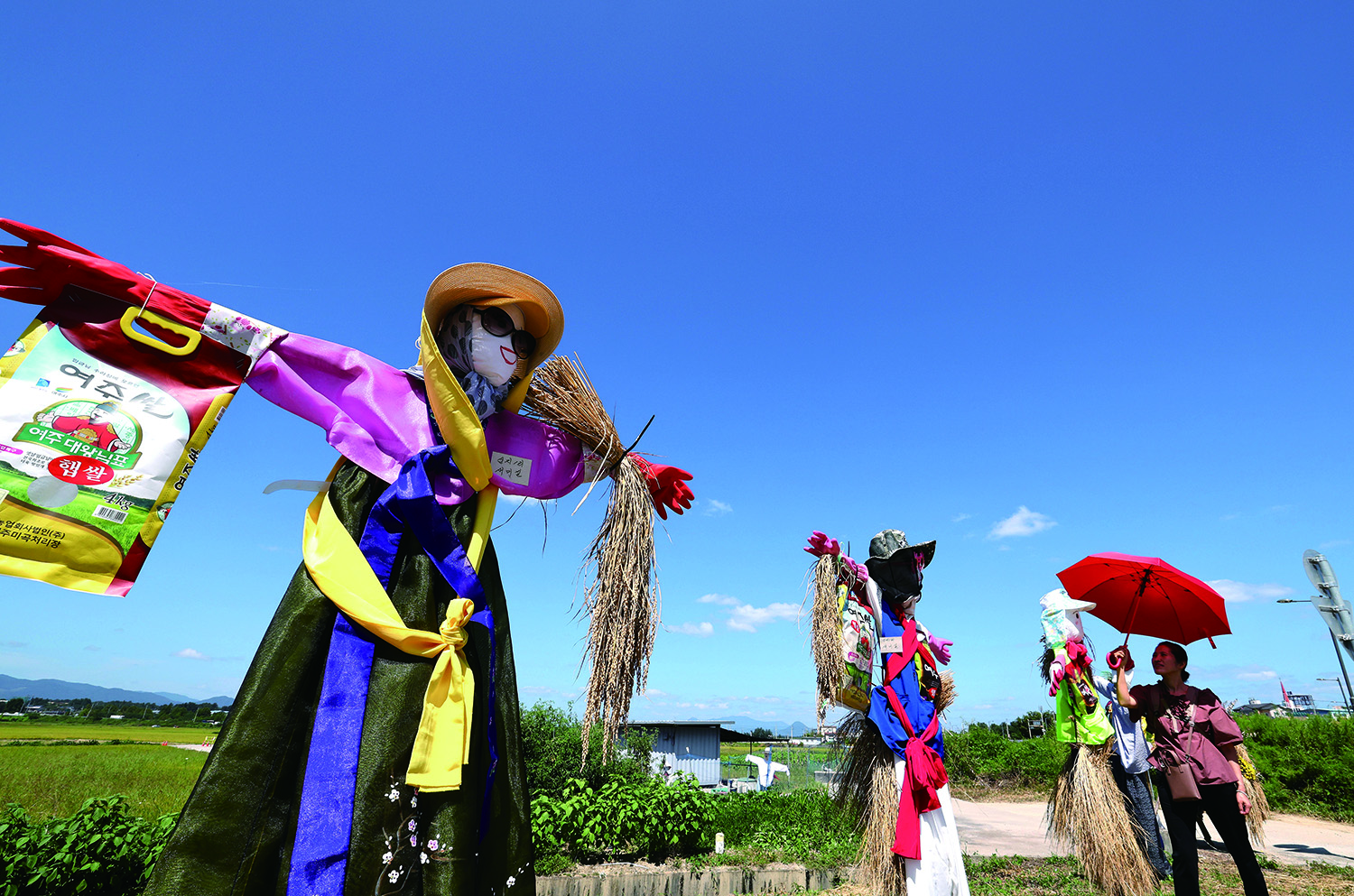 Scarecrows Welcome Autumn / Meet Baby Panda, Shu Bao! - Photo News