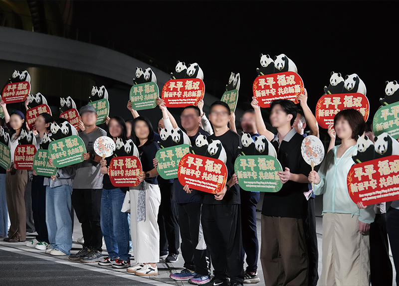 Atlanta Welcomes 2 Giant Pandas After Trump-Xi Summit - Global News